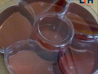 1-1412-1.jpg SPRING CANDY TRAY / TOPLES BUNGA SEKAT 6