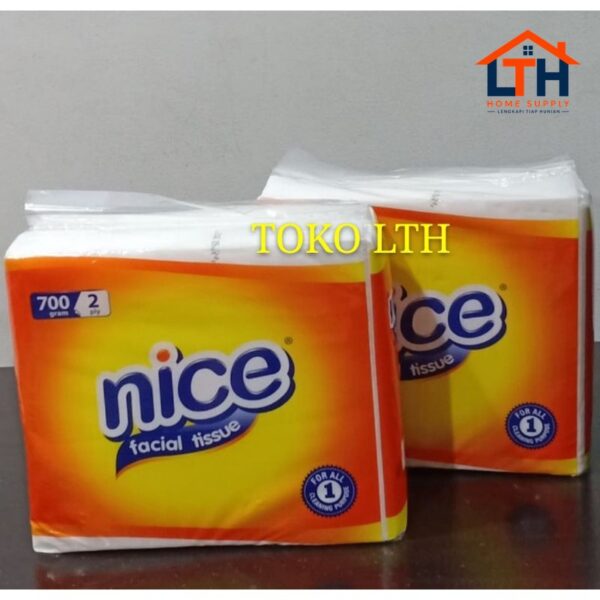 1-1416-1.jpg Facial Tissue 2 Ply 700gr - Nice
