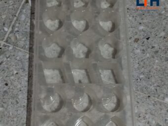1-717-1.jpg CETAKAN ES BENTUK / CETAKAN JELLY / AGAR-AGAR