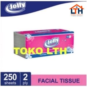 2-1068-1.jpg Facial Tissue 2Ply 250Sheet - Jolly