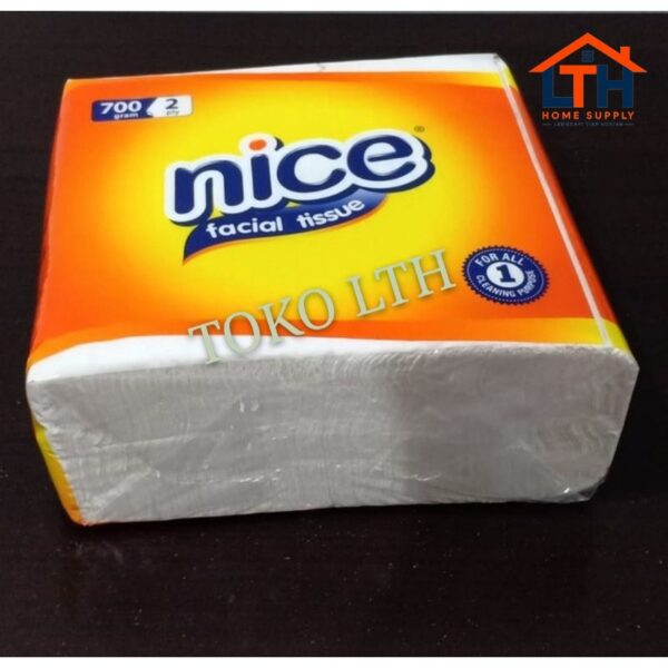 2-959-1.jpg Facial Tissue 2 Ply 700gr - Nice