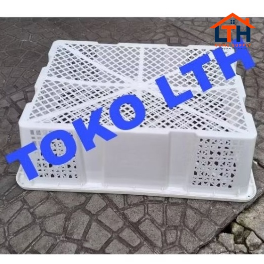 5-216-1.jpg KERANJANG BUAH LENGKENG PARCEL SAYUR PLASTIK + TUTUP SAVANA BOX LUBANG SERBAGUNA